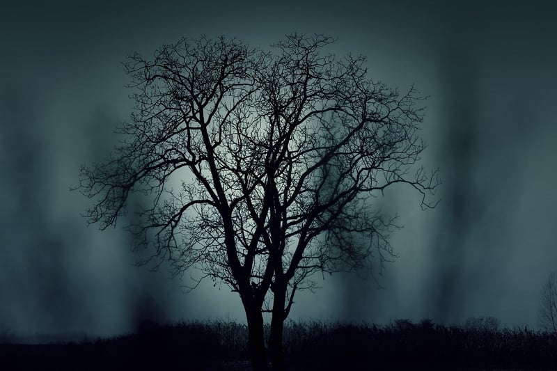 Mysterious Fog